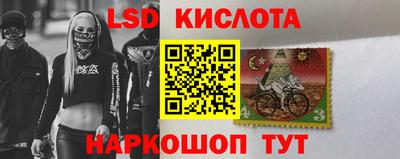 дмт Камышлов