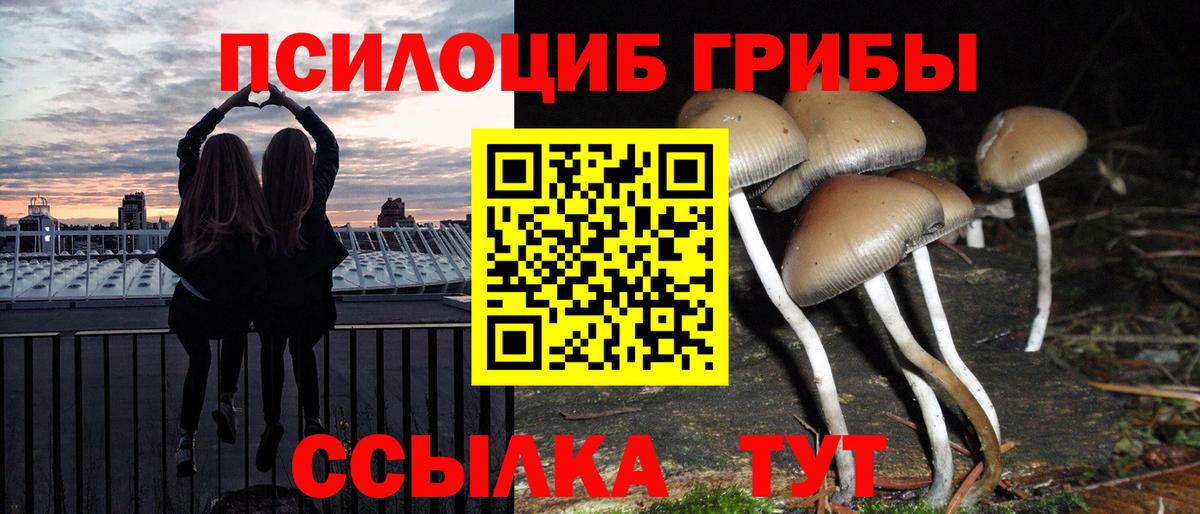 Лесозаводск  Галлюциногенные грибы Psilocybe  Вход с VPN 